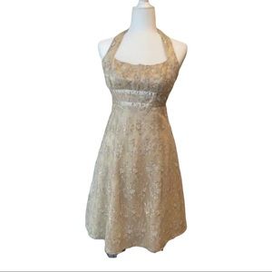 Zum Zum Vintage Champaign Lace Cocktail Dress 3/4